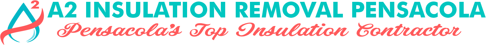 Insulation Removal Pensacola